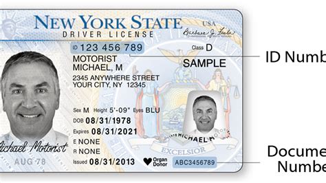 Ny Allows Print At Home Temporary Driver Licenses
