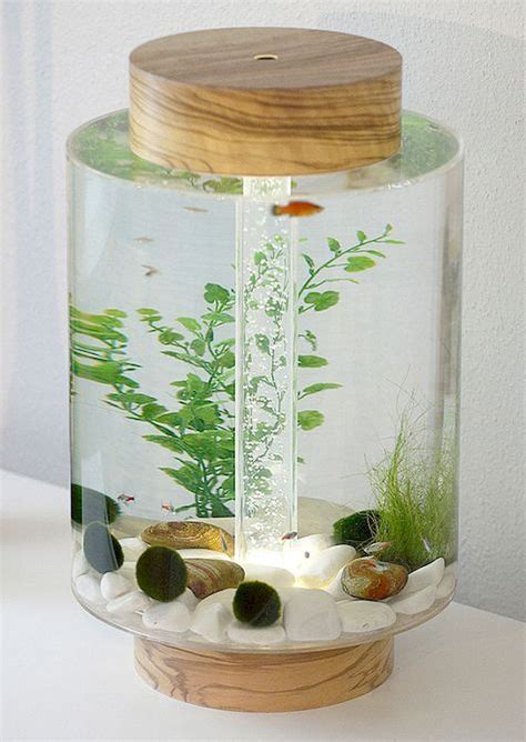 Marvelous Amazing Tips Your New Aquarium Decorations Aquarium