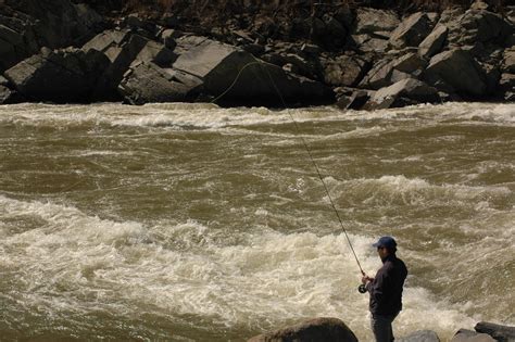 Fin N Feather Fishing Report Potomac River Washington Dc