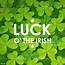 Luck Of The Irish Shamrocks Stock Illustration  Download Image Now