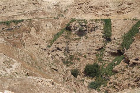 Wadi Qelt In Judean Desert Near Jericho Nature Stone Rock And Oasis