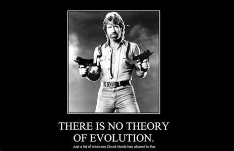 Chuck Norris Memes Walker Texas Rangers Jokes About Men Theory Of