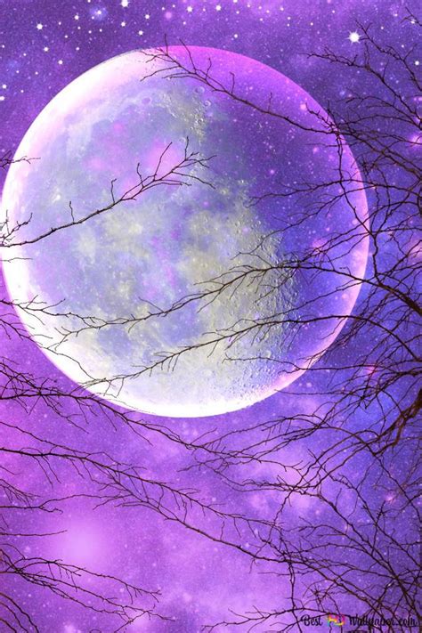 15 Purple Moon Iphone Wallpaper Bizt Wallpaper