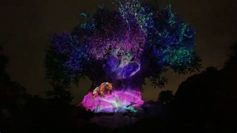 Photos Video Holiday Tree Of Life Awakenings Return To Disneys