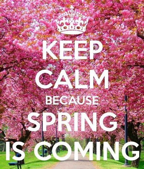 Pin By Karen Scarpone On Keep Calm Keep Calm Calm Spring Is Coming
