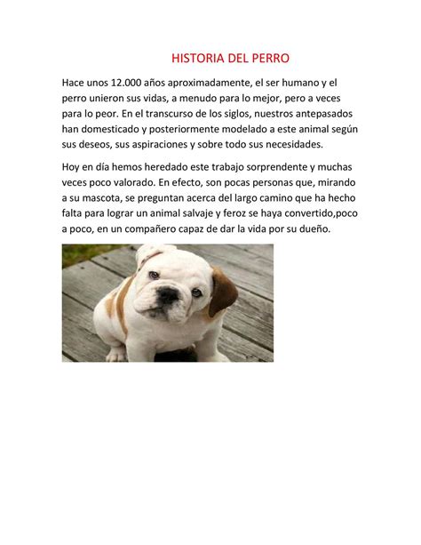 Calaméo La Historia Del Perro