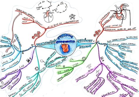 Congenital heart disease, excluding bicuspid aortic valve, occurs in approximately 8 per 1000 births and has a broad range of clinical manifestations1. Congenital Heart Disease