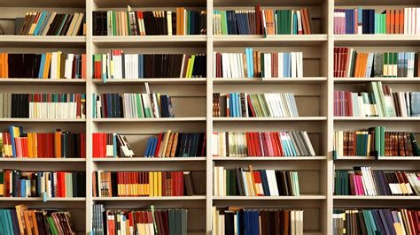 Free Zoom Virtual Background Bookshelf Download These Credibility