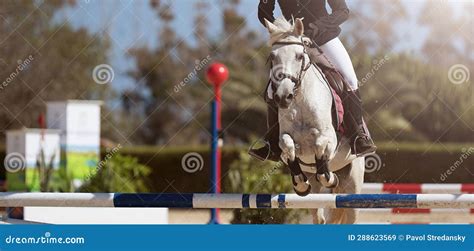 Jockey On Her Horse Leaping Over A Hurdle Stock Image Image Of