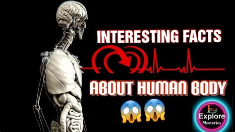 5 Amazing Facts About Human Body Youtube
