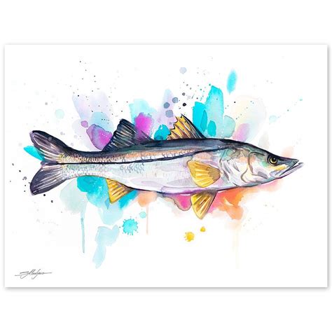 Common Snook Fish Watercolor Painting Print By Slaveika Aladjova