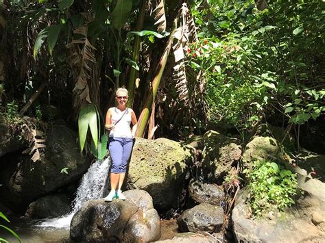 Makiki Valley Trail Loop Hike Honolulu Mauka Trail System Hawaii