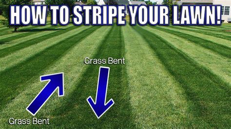 How To Get Perfect Lawn Stripes With A Push Mower Youtube