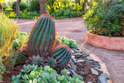 Inexpensive Desert Landscaping Ideas To Spruce Up Your Yard
