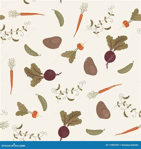 Vegetables Seamless Pattern Stock Vector Illustration Of Food