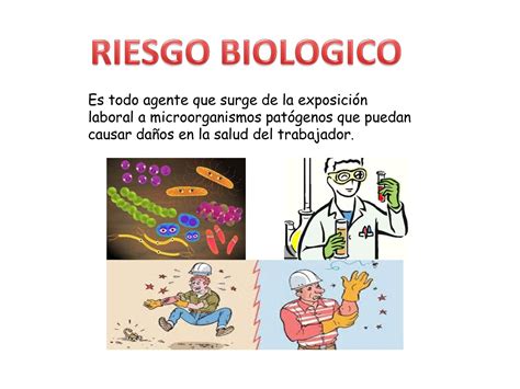 Calaméo Riesgo Biologico