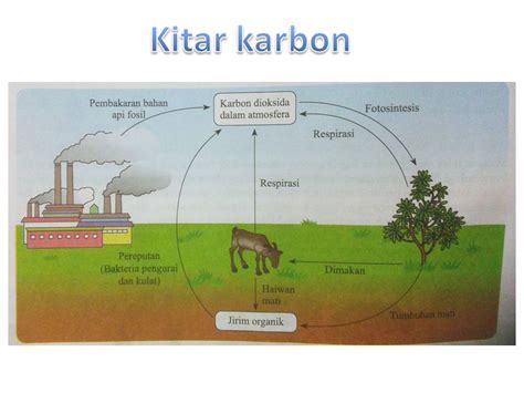 Daur karbon dan oksigen daur biogeokimia ekologi biologi x. Nota fizik, Nota Sains Tingkatan 4, Nota Sains Tingkatan 5 ...
