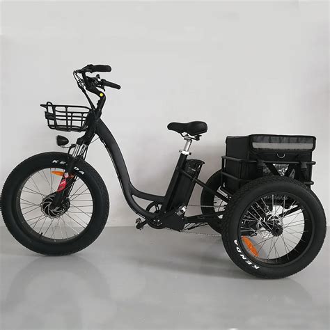 24 Inch Electric Trike Fat Tire 3 Wheels Electric Tricycle Adult Cargo E Smart Way