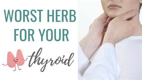 avoid this herb if you have hashimotos thyroiditis how to heal hashimotos thryoiditis