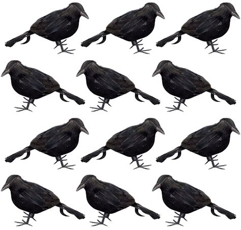 Nicky Bigs Novelties Pack Small Black Crow Raven Bird Men S Halloween Prop Decoration