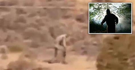 Does This Prove Bigfoot Exists Human Like Monster Caught On Camera