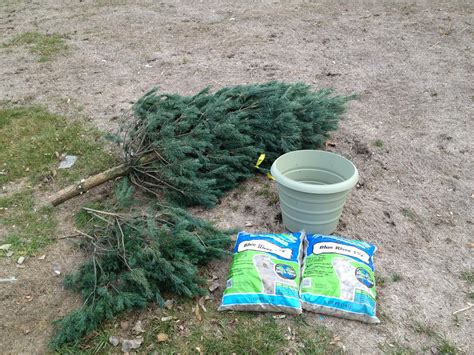 Fruit receives a constant flow of energy from the tree. The Modern DIY Life: DIY Christmas Tree Stand