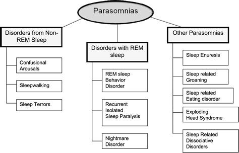 The Parasomnias Epidemiology Clinical Features And Diagnostic