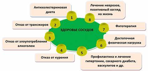 Антихолестериновая диета меню Антихолестериновая диета: полезные продукты и рецепты Антихолестериновая диета: полезные продукты и рецепты Антихолестериновая диета меню