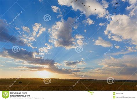 Last Rays Of Sunlight Of The Day Stock Photo Image Of Beautiful