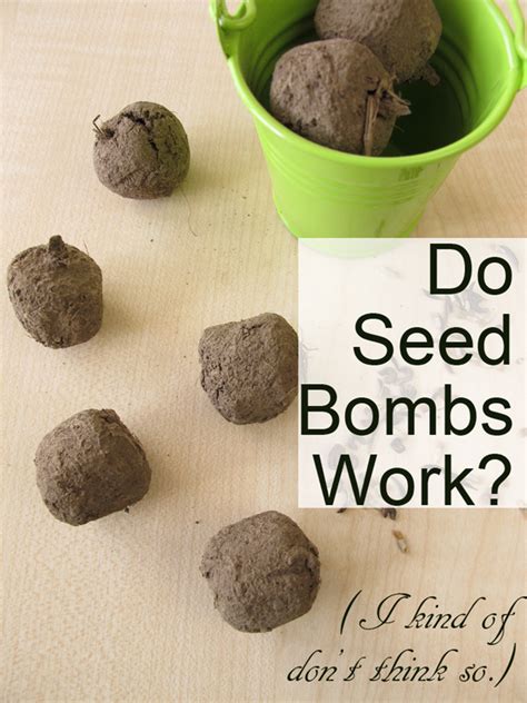 Do Seed Bombs Work? (I Kind of Don't Think So) - Crafting a Green World