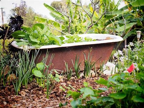 #bathtub #fairy #garden #raised garden #garden bed #gnome #minature #cute #plants #gardener i created this little garden bed by laying down layers of leaves and compost on top of a layer of paper. On Trend: 8 One-of-a-Kind Raised Garden Beds
