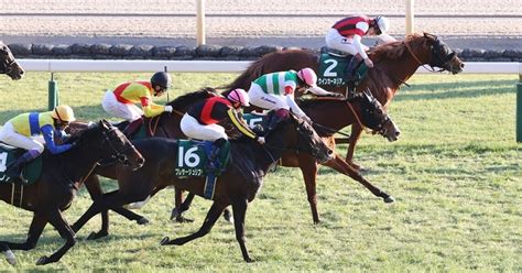 【重賞レース！】24（日）東京11r 東京新聞杯（gⅢ）｜the Moonnet競馬予想 ザムーン