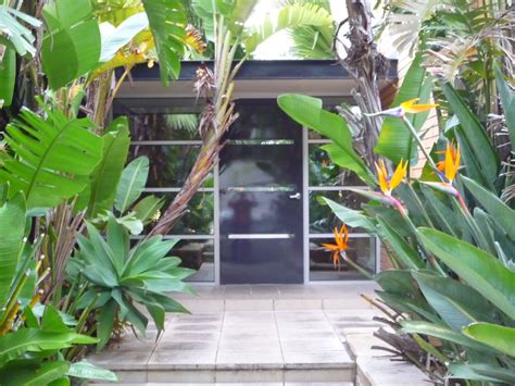 Tropical | Front gardens, Tropical garden plants, Tropical garden