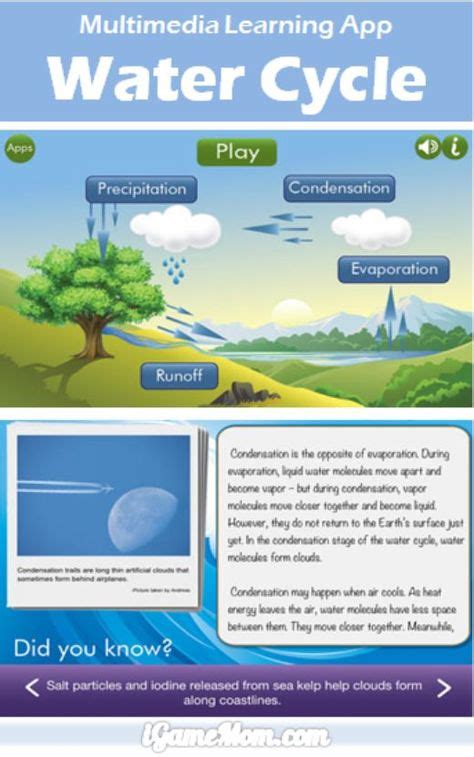 48 Water Cycle Lessons Ideas Water Cycle Water Cycle Lessons