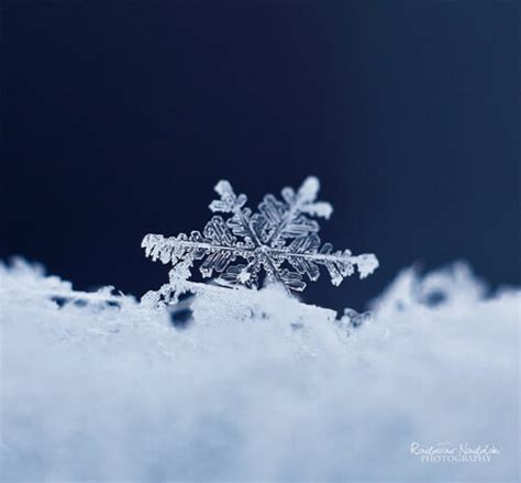 20 Majestic Close Up Pictures Of Snowflakes