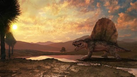 How To Survive A Mass Extinction Cosmos Magazine