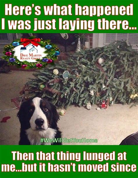 Sunday 🏡 Real Estate 🤣😂 Funnies We Wish You The Best Of Holiday