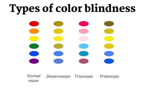 What Is Color Blindness Everything You Want To Know — Teletype