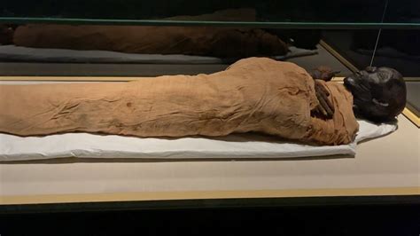 Tour Of The National Museum Of Egyptian Civilization Famous Mummies