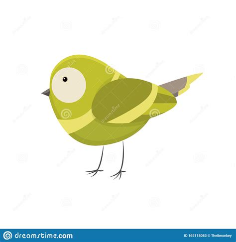 Cute Little Colorful Bird Isolated On White Background Common House