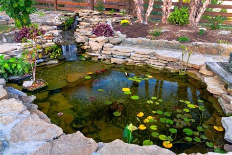 Dress Up Your Koi Pond With Plantsand Rocks Petersons Landscaping