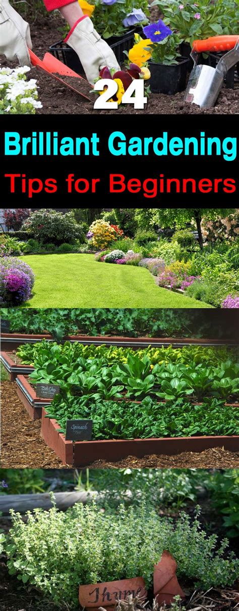 There's no better place to start when it comes to books on vegetable gardening than the vegetable garden bible. 24 Gardening Tips for Beginners | Balcony Garden Web