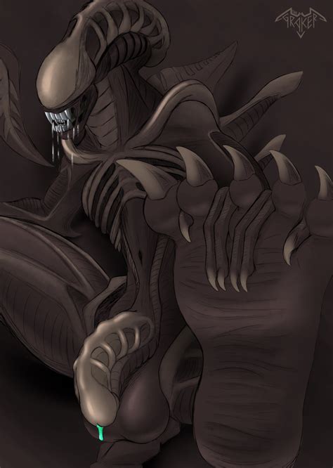 Rule 34 Alien Alien Franchise Balls Feet Male Male Xenomorph Non Human Penis Solo Xenomorph