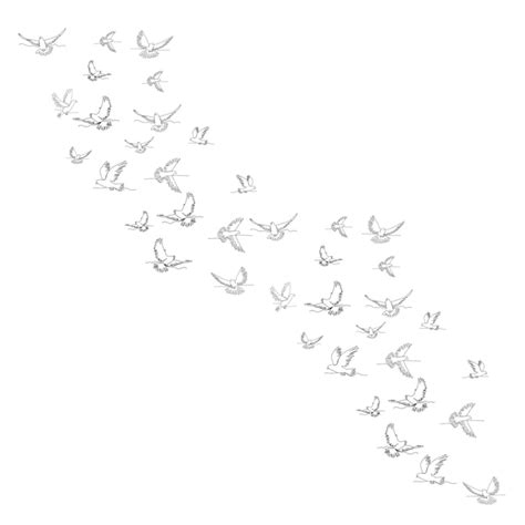 Premium Vector Continuous Line Drawing Of A Flock Of Birds Flying