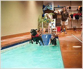 Why frigid mars is the perfect place to look for ancient life. Olde Towne Pet Resort's indoor lap pool is perfect for ...