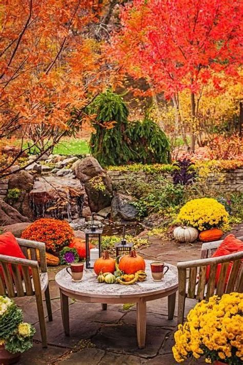 40 Helpful Tips For Autumn Update Of Your Garden In 2020 Autumn