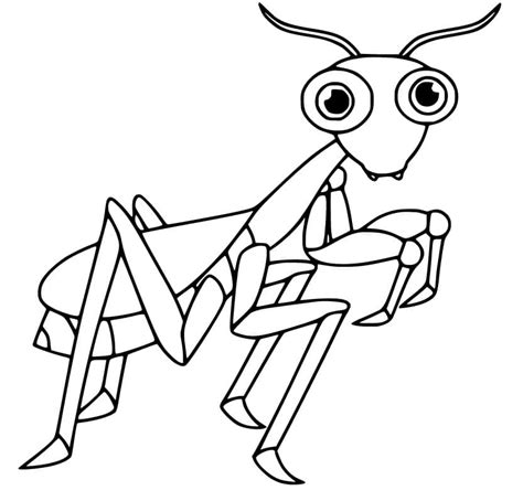 Lovely Praying Mantis Coloring Page Free Printable Coloring Pages For