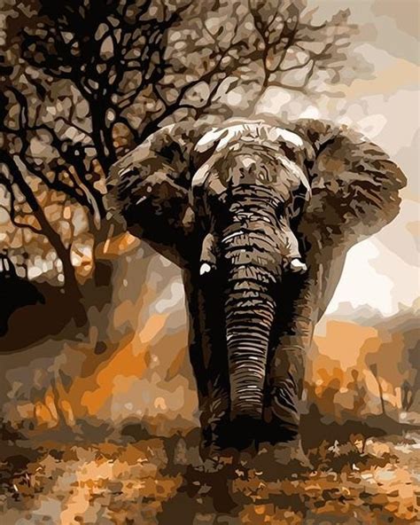 African Elephant Animals Paint By Numbers Thepaintbynumberscom