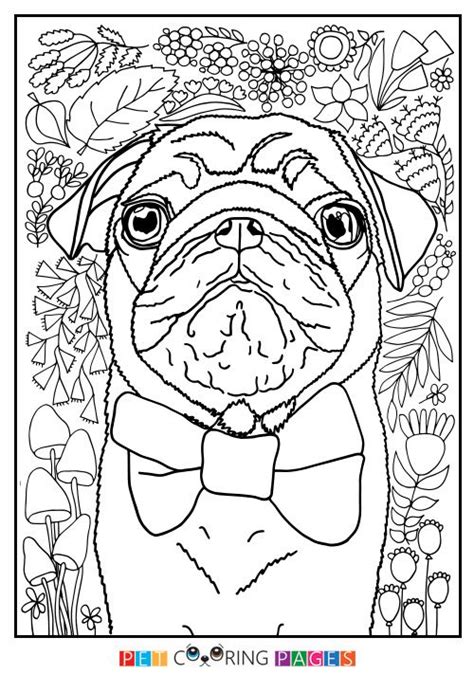 Pug Coloring Page Dog Coloring Book Coloring Pages Colouring Printables