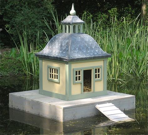 Fill your duck house with wood chips or untreated pine mulch. Geoffrey Woollard 4 South East Cambridgeshire: Sir Peter ...
